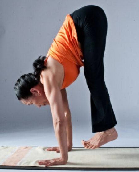 Ashtanga Yoga Sequence. In Ashtanga Yoga, the